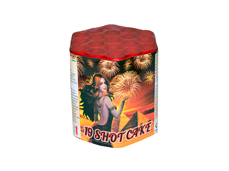 19 SHOT CAKE